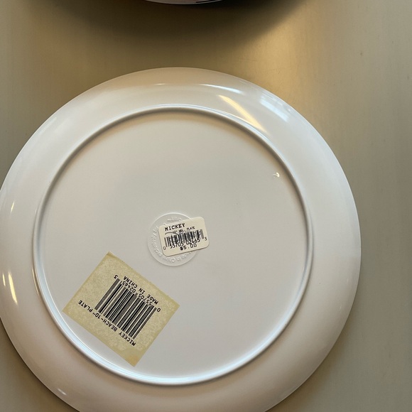 Set of 8 10 inch melamine  dinner plates - Picture 2 of 2